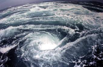 ���������, ���� � ����� www.polyu.edu.hk