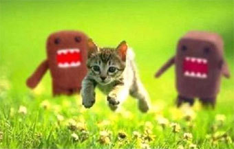 ����������� � ����� en.wikipedia.org