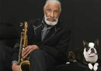 ����� �������. ���� � ����� popmatters.com