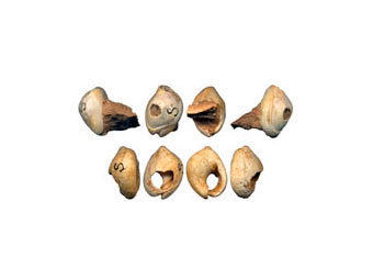 ��������-������ �� ������ �����. ���� � ����� livescience.com