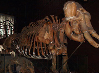 ������ �������, ���� c ����� computery.ru