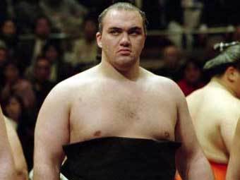 ������ ��������. ���� � ����� quinlanfaris.com