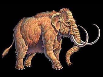 ������. ����������� � ����� Dinosauria.com