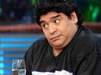 ����� ��������. ���� � ����� plein.nl