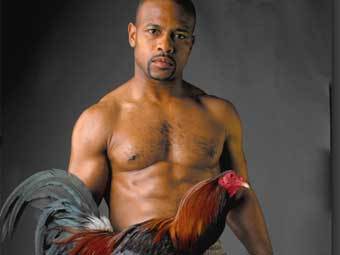 ��� ����� � ����� �� ����� �������� �������. ���� � ����� bybee.temp.evolutionstudio.com