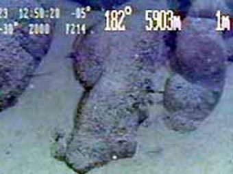 ����, ����������� �� �������� ������ ����. ���� JAMSTEC