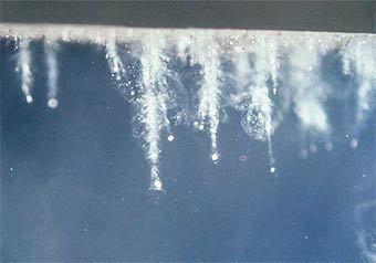 ����������� ��������� ��������, ��������� �������� �����. ���� NASA