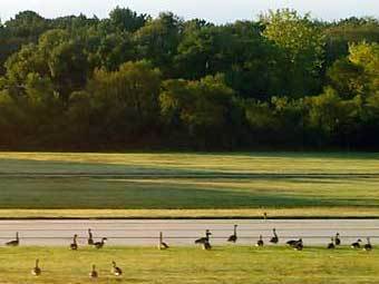 ����� �� ��� ��������� ��������. ���� Pbase.com