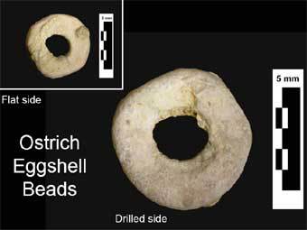 ���� �� �������� ���������� ���. ���� � ����� asu.edu