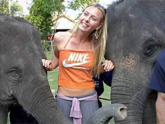 ����� �������� (�� ���� sharapova.ru) ������ �������� ������ ���� ����� �� �����