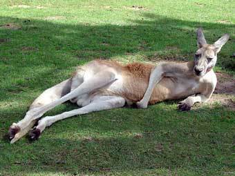 �������. ����������� � ����� myartpage.com.