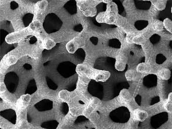 ����������� � ����� scienceinpublic.com