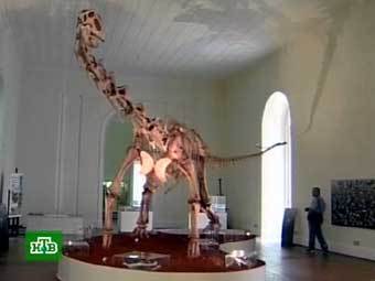 Maxakalisaurus topai, ���� ���