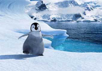 ���� �� ������ "����� ����"