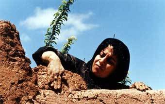 ���� �� ������ 