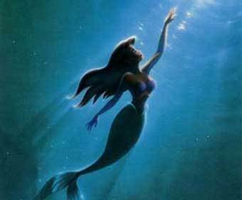 ���� �� ������