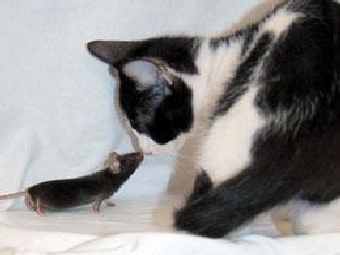 ���� ��� �������� �������� ������� ������������� �������� ����� �� ������. ���� ������� ������������. 