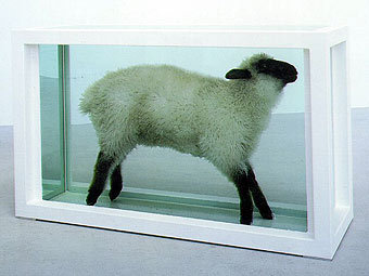 �������� ������ ������ "Away from the Flock" 