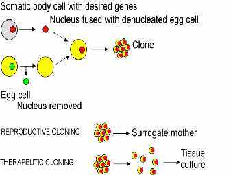 ������� ���� �� ������������ ������. ����������� � ����� wikimedia.org.