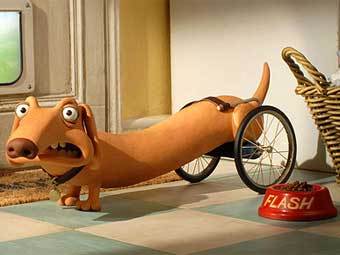 ����� ���� �� ������ ������� ���� �����. ���� � ����� news.sky.com