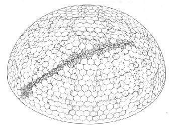 ������������� ������ "����� ����": �������� ���� � ���� 880 ���������������. ����������� �������������� ��������� ���� �������� ������������ �����. ����������� ������������ "������". 