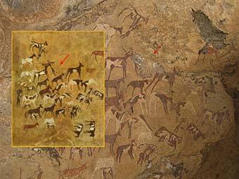 �������� � ������������ �������. ����������� AFP