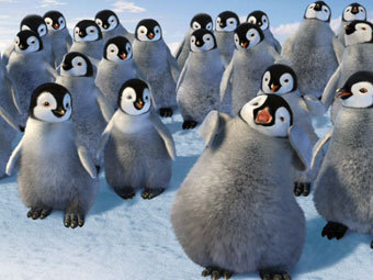 ���� �� ������� "����� ����", ���� � ����� thecia.com.au