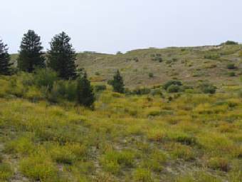 ����� ���������� ������ ��������� ��������� ��������. ���� ������� ������������. 