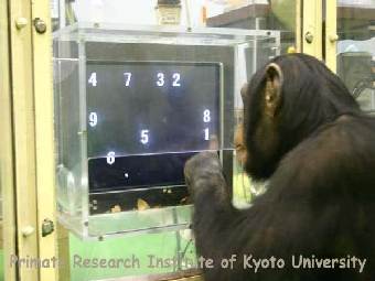 �������� �� ����� ��������� �������. ���� � ����� ������������ �����. 