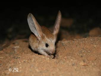 ���������� ���������. ���� ���. 