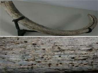 ��������� ������������ ������ �� �������, ���������� � ���� ������� �����. ���� ������� ������������. 