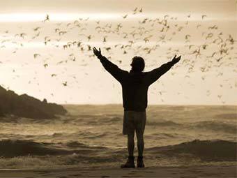 ���� �� ������ ���� ����� "Into the Wild"