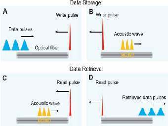 �������� �������� ��������� � ���� �������� ����. ����� �� ������ ������� ������������. 