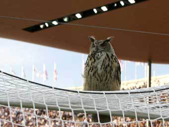 ����� ����. ���� � ����� nationalgeographic.com