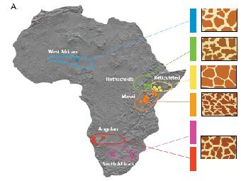 ������� � ��������� ������ �� �����, ��������, ������� ������� � ������ ������������� �����. ����������� �� ������ ������� ������������. 