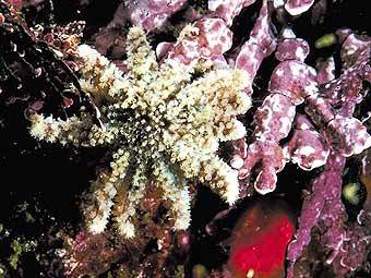 ������ ������ �� ���������� ����. ����   Photos.com/Cube