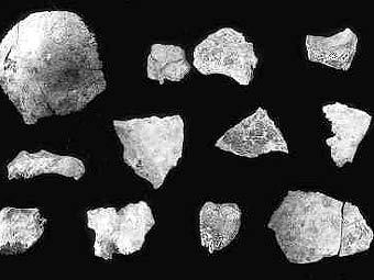 ����� ���������� ������ �� ����������, ���������������� ��������������� ����������� ����������� �������� �����