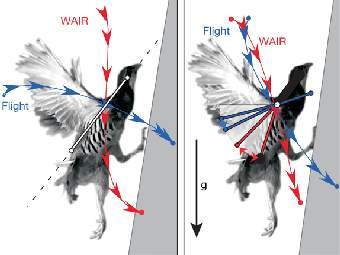 ������ �����. �������� ����������� ������� ������������.