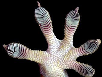 ������� �������. ���� ������� ������, ������� ������ � ������. 