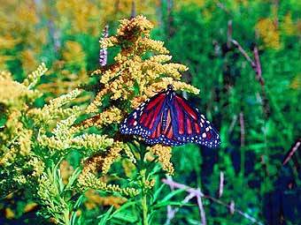 ����   Photos.com/Cube