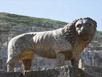 ���� ������� ������� � ����� ����� �����������