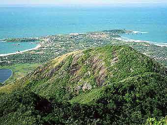 ��� �����������. ���� ����� �������� � ����� wikipedia.org