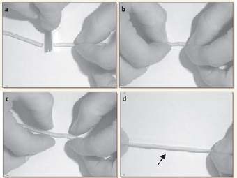 ���� ��������� ��������� ������������ ����� ������ ���������, ��� ����������. ��������������� ����� ������ ��������� ����������. ���� ������� ������������, �������������� � ������� Nature. 