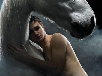 ������ �������� � ����� "Equus". ���� � ����� hpana.com