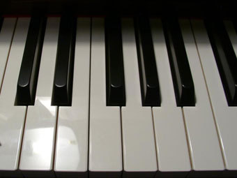 ����������� � ����� pigeond.net