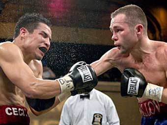 ������� ��������. ���� boxnews.com.ua