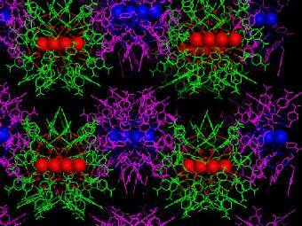 ����� ������ (������� � �����), ����������� �  ������������� ����������. ����������� �� ������� Science