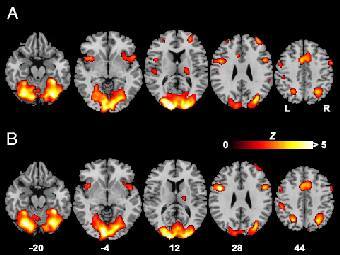 ������� �����, � ������� � �������� ������������� ����� ����������� �������� ����������. ����������� �� ������ ��������������. 