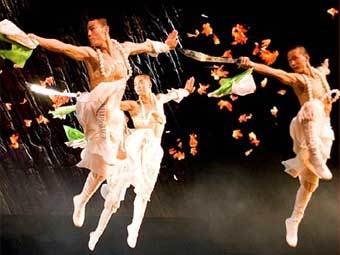 ����   shaolin.nl