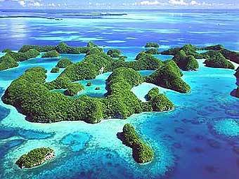 ��� �� ������� �����. ���� � ����� scubadivephilippines.com